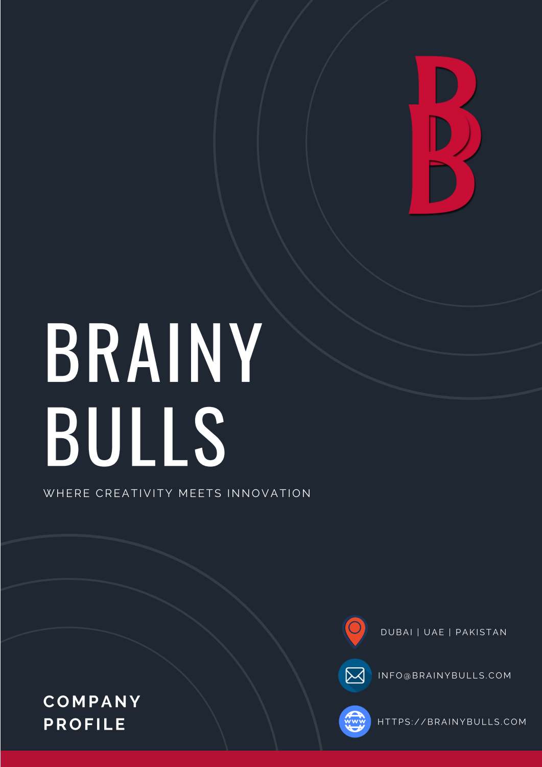 #BrainyBulls Profile.pdf