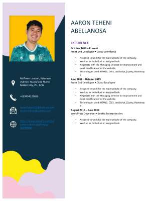 2020 Aaron Teheni Resume.pdf