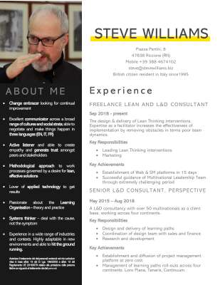 20_01 CV Steve Williams 2 page UK.pdf