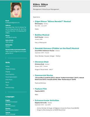 Kübra Gökçe Resume.pdf