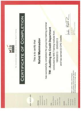 MIS Auditing the Credit Department.pdf