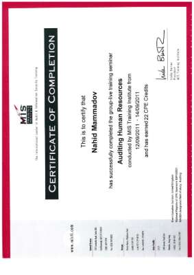 MIS Auditing Human Resources.pdf