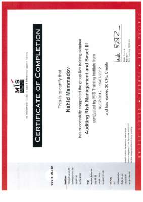 MIS Auditing Risk Management and Basel III.pdf