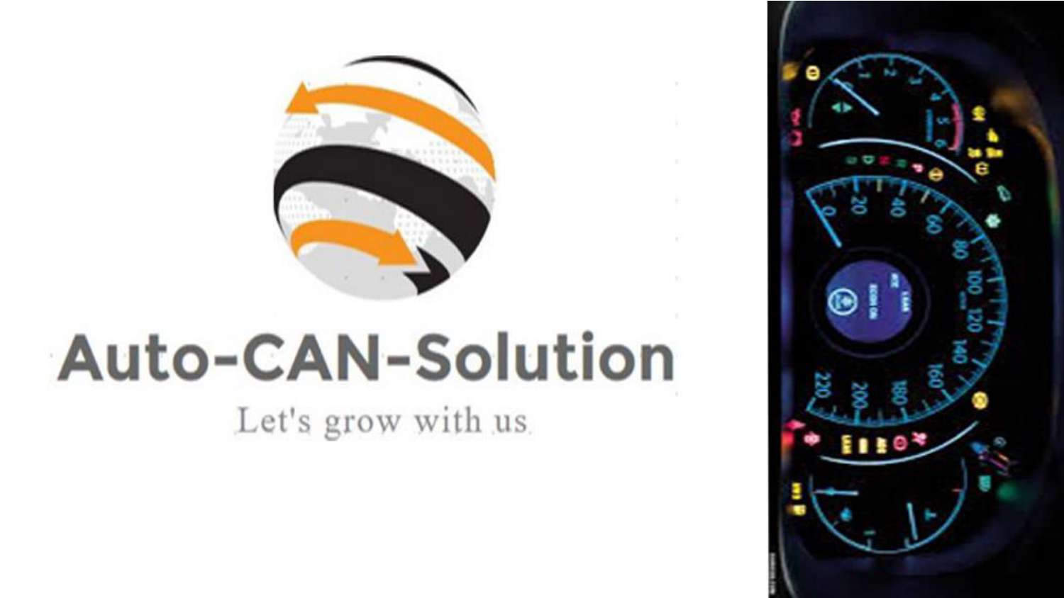 Business of KARNEX .pdf