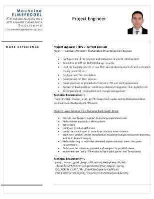 CV_Mouhcine_ELMEFEDDEL_EN.pdf