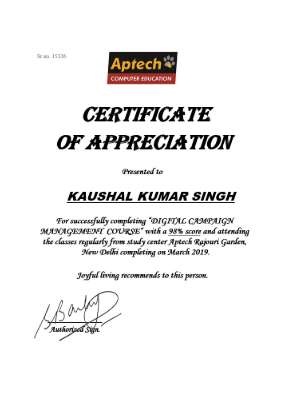 Digital camapaign  management-kaushal-19-certificate.pdf