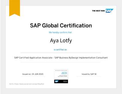 ByDesign Implementation.pdf