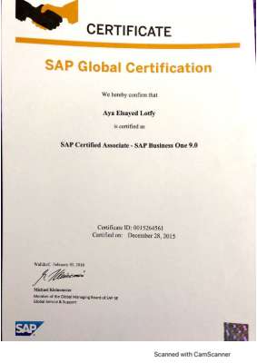 Business One Certificate.pdf