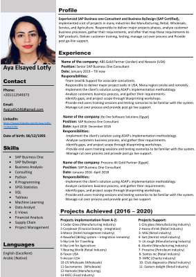 Aya-Senior SAP Business One-.pdf