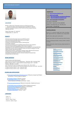 CV_FRANCISCO_BELENGUER.pdf