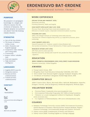 CV of Erdenesuvd .pdf