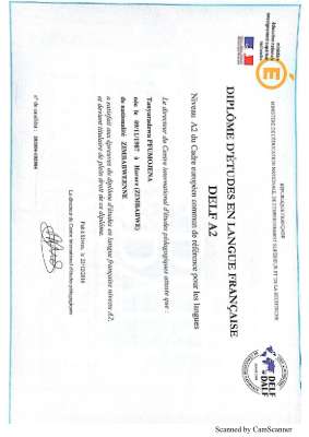 French Profiency Certificate.pdf
