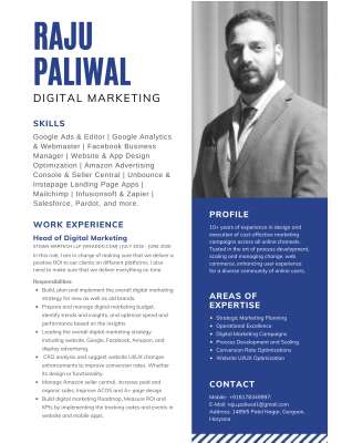 raju paliwal - Digital Entrepreneur.pdf