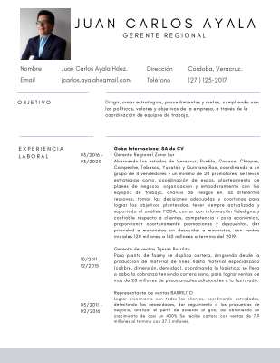 CV Juan Carlos Ayala Hdez. 032020.pdf