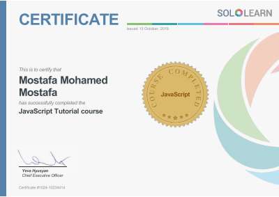 Solo Learn JavaScript Tutorial course.pdf