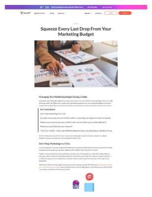 Vision6--Squeeze_Every_Last_Drop_From_Your_Marketing_Budget.pdf