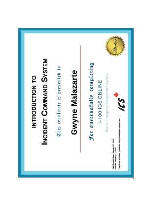 Incident Command System.pdf