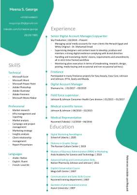 MeenaSGeorge - CV.pdf