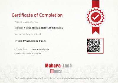 Python Programming Basics.pdf