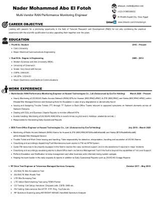 Eng. Nader Mohammed Abo El Fotoh CV.pdf