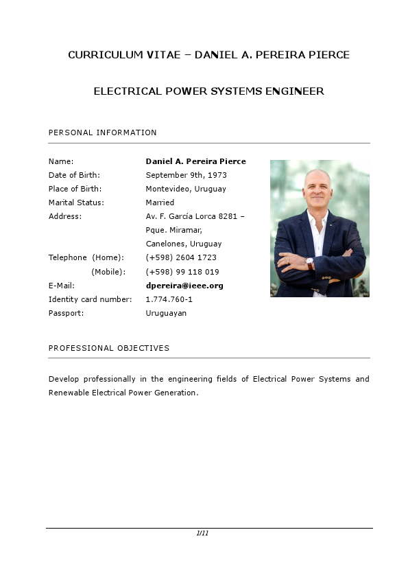 CV_Ing_Daniel_Pereira_ENG.pdf