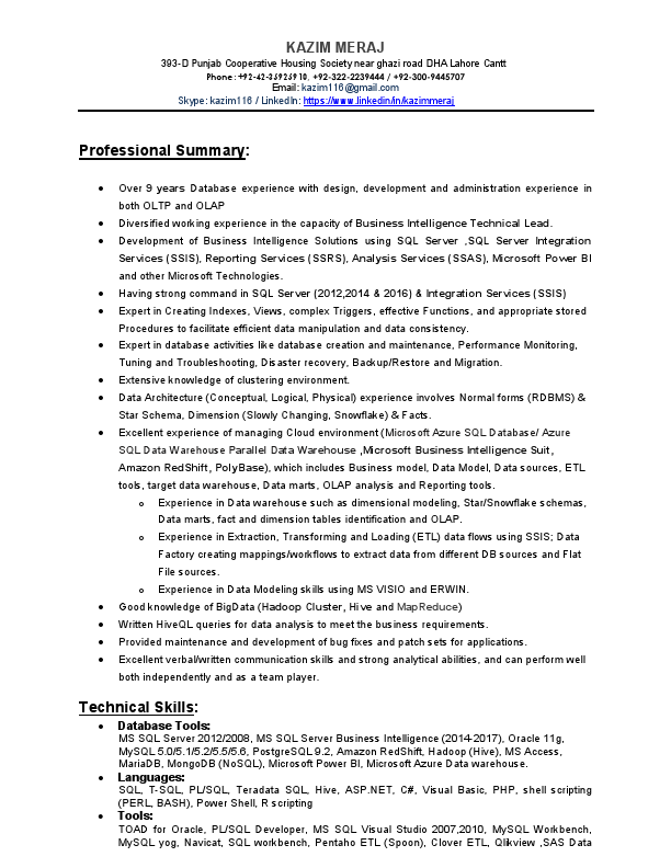 CV-BI(Kazim_Meraj).pdf