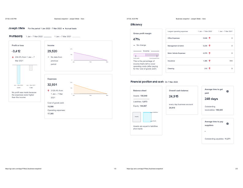 WorkSampleBusSnapshot.pdf
