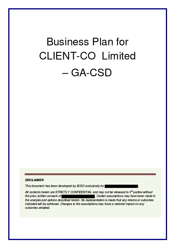 Business Plan - FMCG Market Entry.pdf