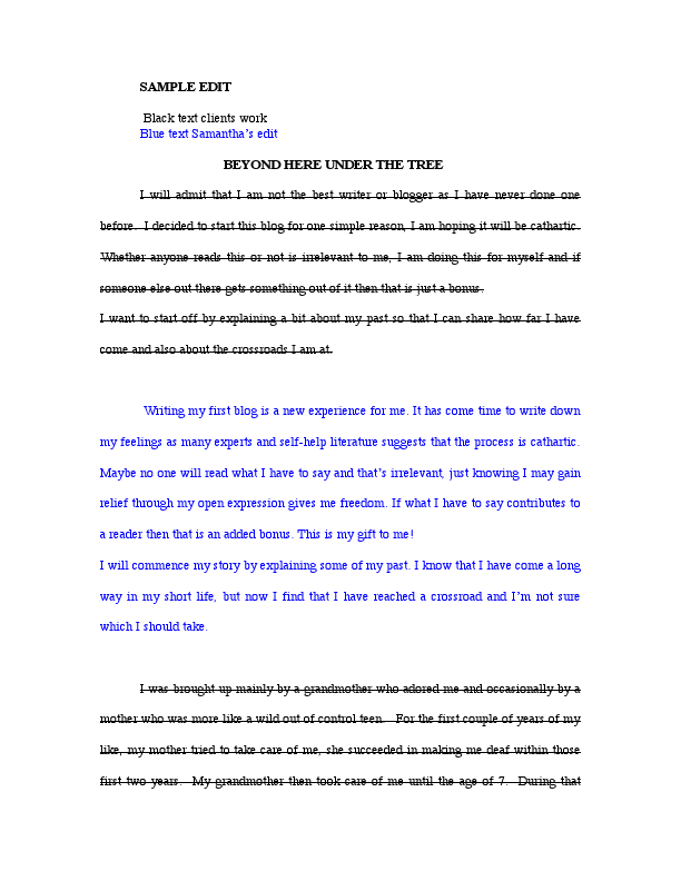 SAMPLE EDIT Blog.pdf