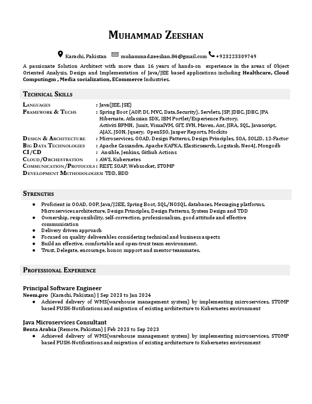 Muhammad_Zeeshan.pdf