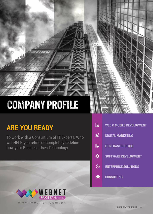 WEBNET COMPANY PROFILE.pdf