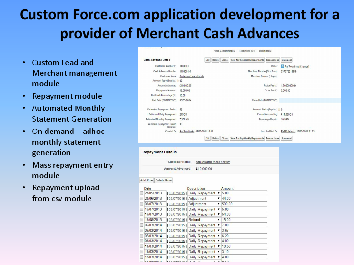 Project Experience-SFDC.pdf