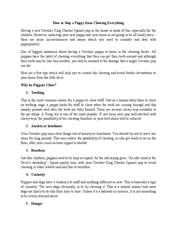 How To Stop A Puppy From Chewing Everything.pdf