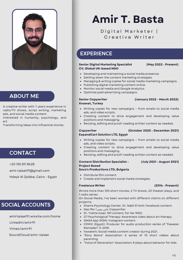 Amir T. Basta - Resume.pdf