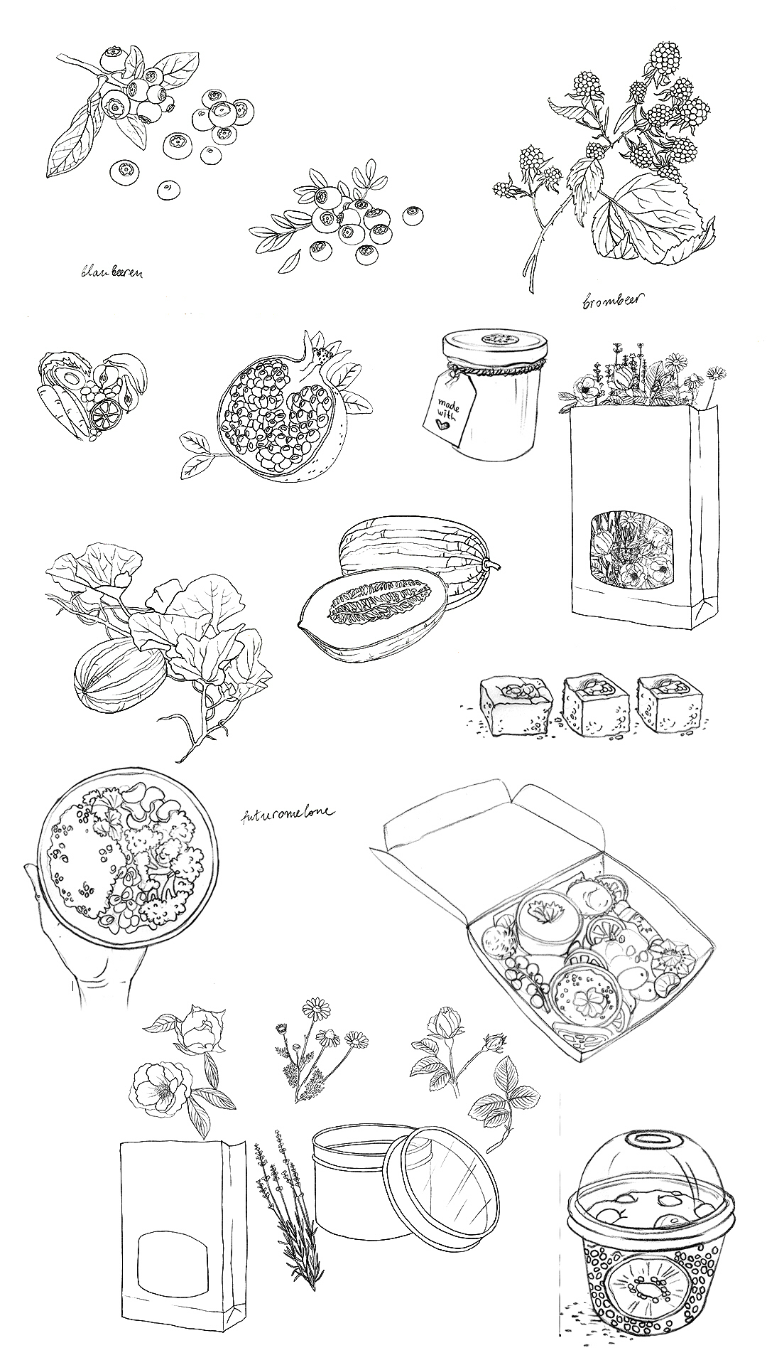 Hristiania_drawings plants.pdf