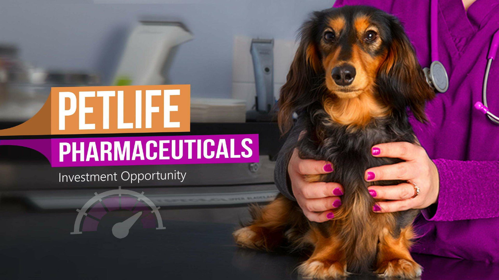 Petlife PPT v4.0.pdf