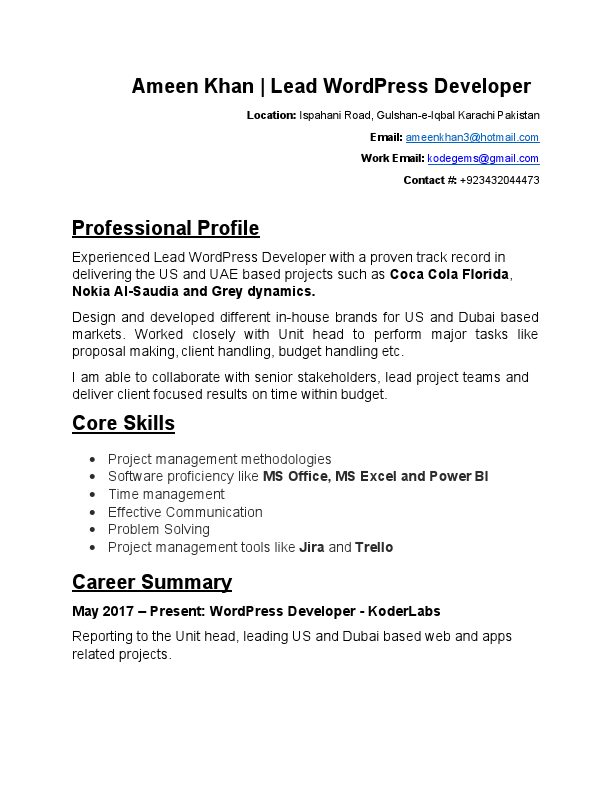 Senior-Wordpress-developer-cv.pdf