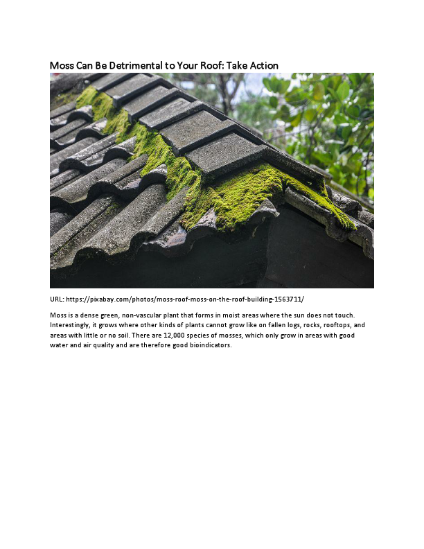 Moss Can Be Detrimental to Your Roof.pdf