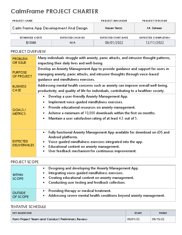 CalmFrame_Digital_Project-Charter.pdf