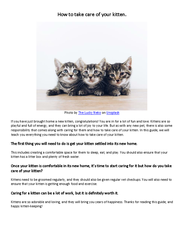 How to Take Care of Your Kitten - The Ultimate Guide 101.pdf
