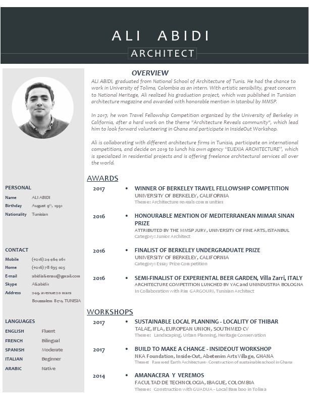 ALI  ABIDI _ RESUME.pdf