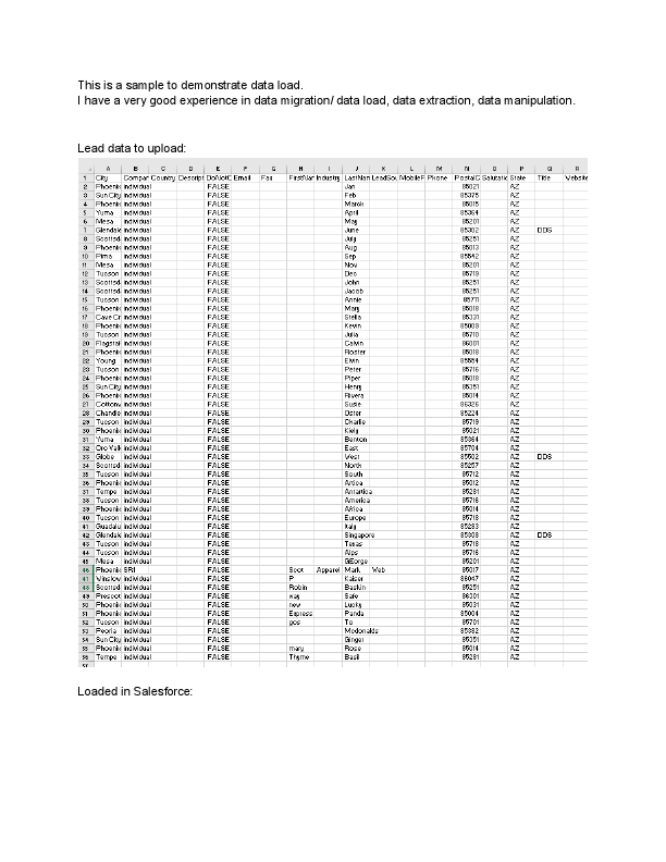Data Migration - Lead.pdf