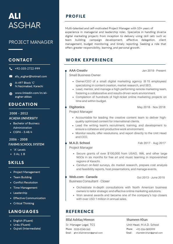 Ali Asghar Resume 2024 (2).pdf
