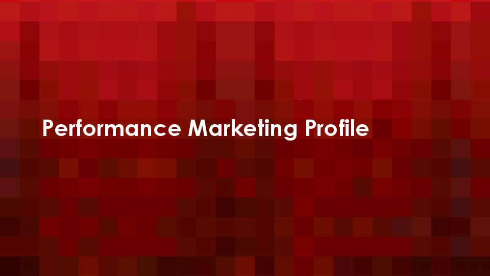 Performance Marketing Profile.pdf