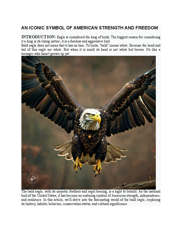 the american symble.pdf