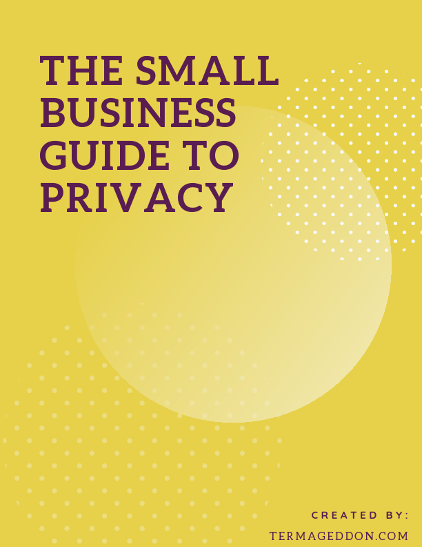 The-Small-Business-Guide-to-Privacy.pdf