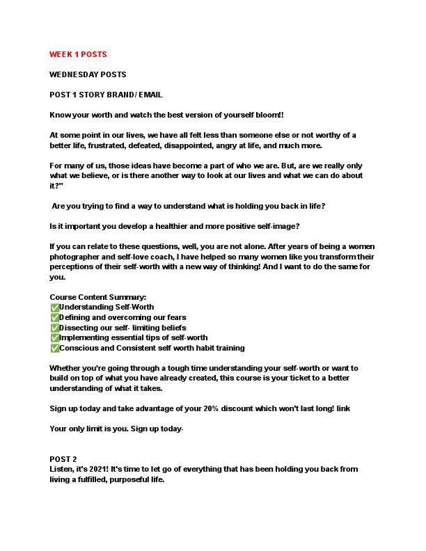 STORY BRAND_ EMAIL COPIES.pdf