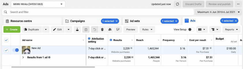 MiiMii Winks Project_compressed.pdf