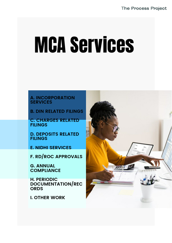 TPP  MCA Services.pdf