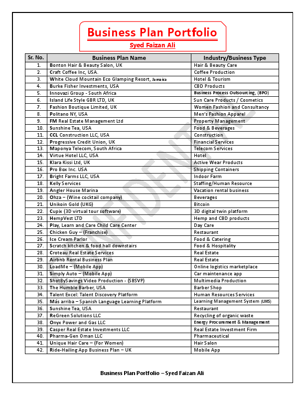 1 Business_Plan_ Portfolio_Syed_ Faizan_Ali.pdf